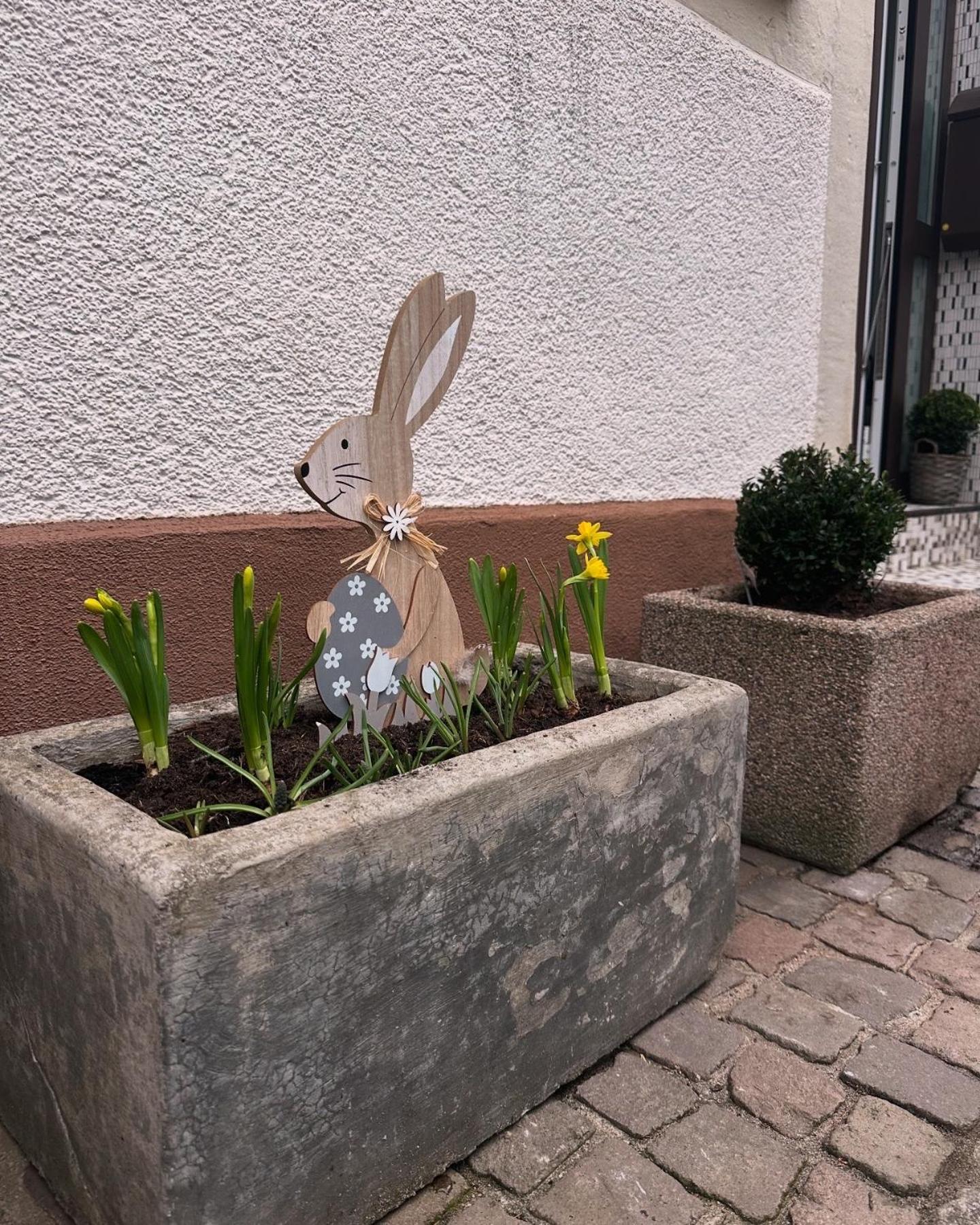 Ferienwohnung Am Berg Bad Bergzabern Esterno foto
